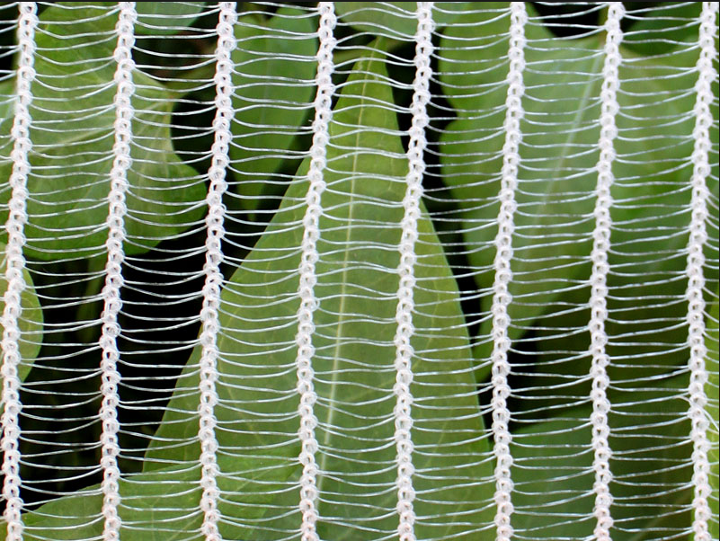 Fujian Canghu Netting Co., Ltd