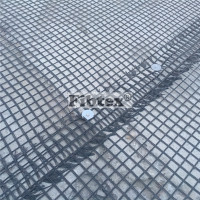Geogrid For Road Re