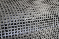 Geogrid For Reinfor