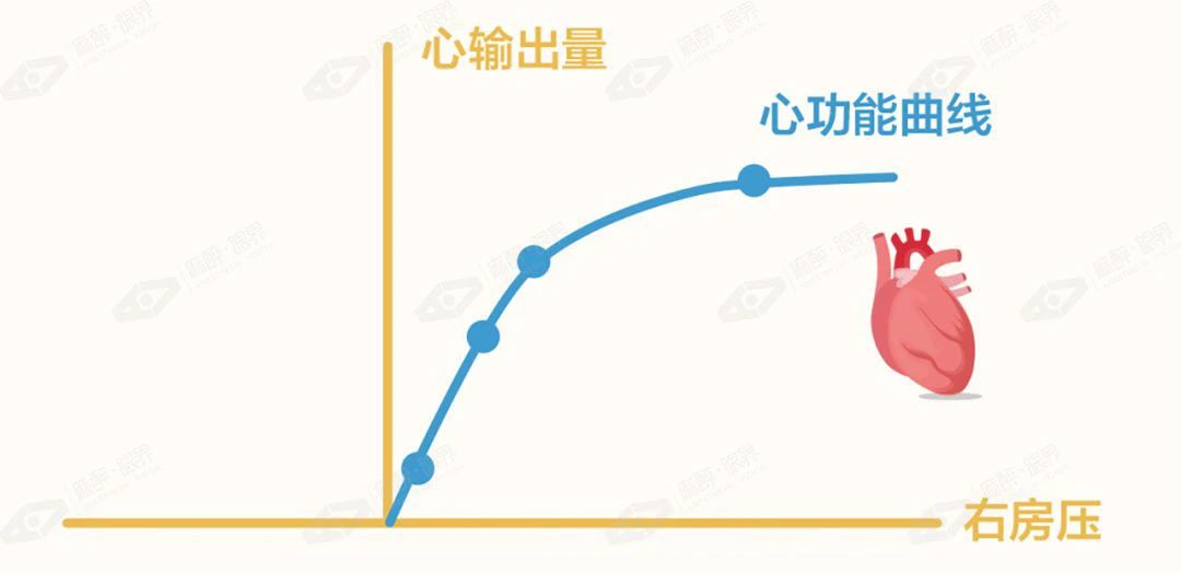 考虑到心功能曲线的多样性,对于单一个体而言,仅就一个给定