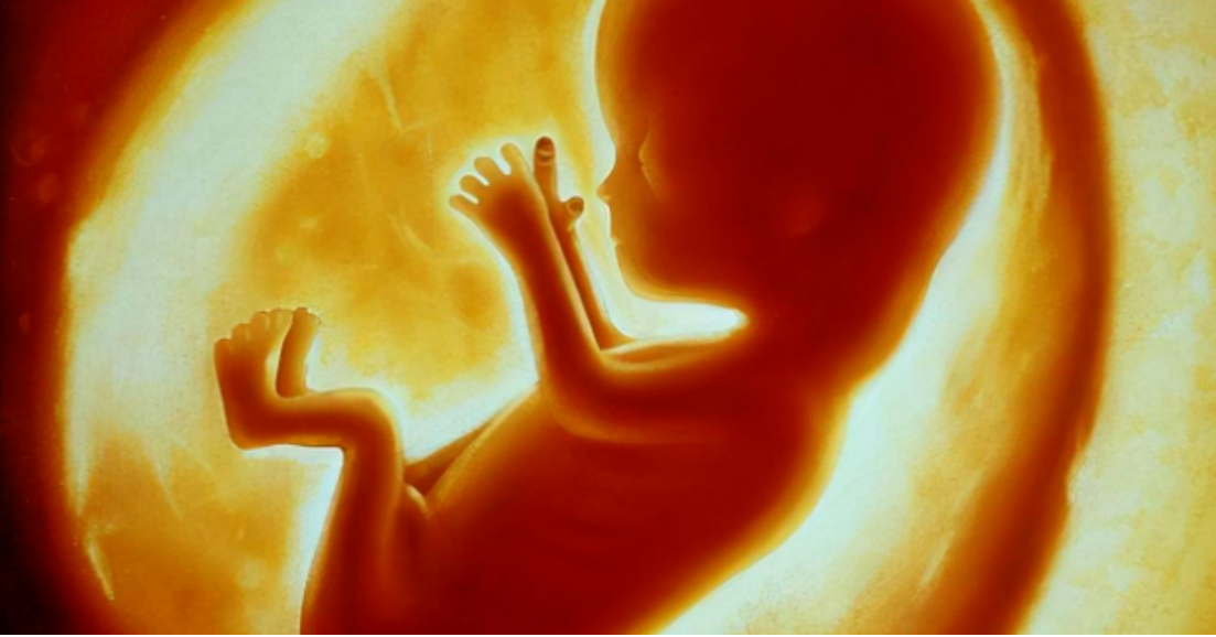 【孕期科普】胎寶寶？肚子裡如何吃喝拉撒呢