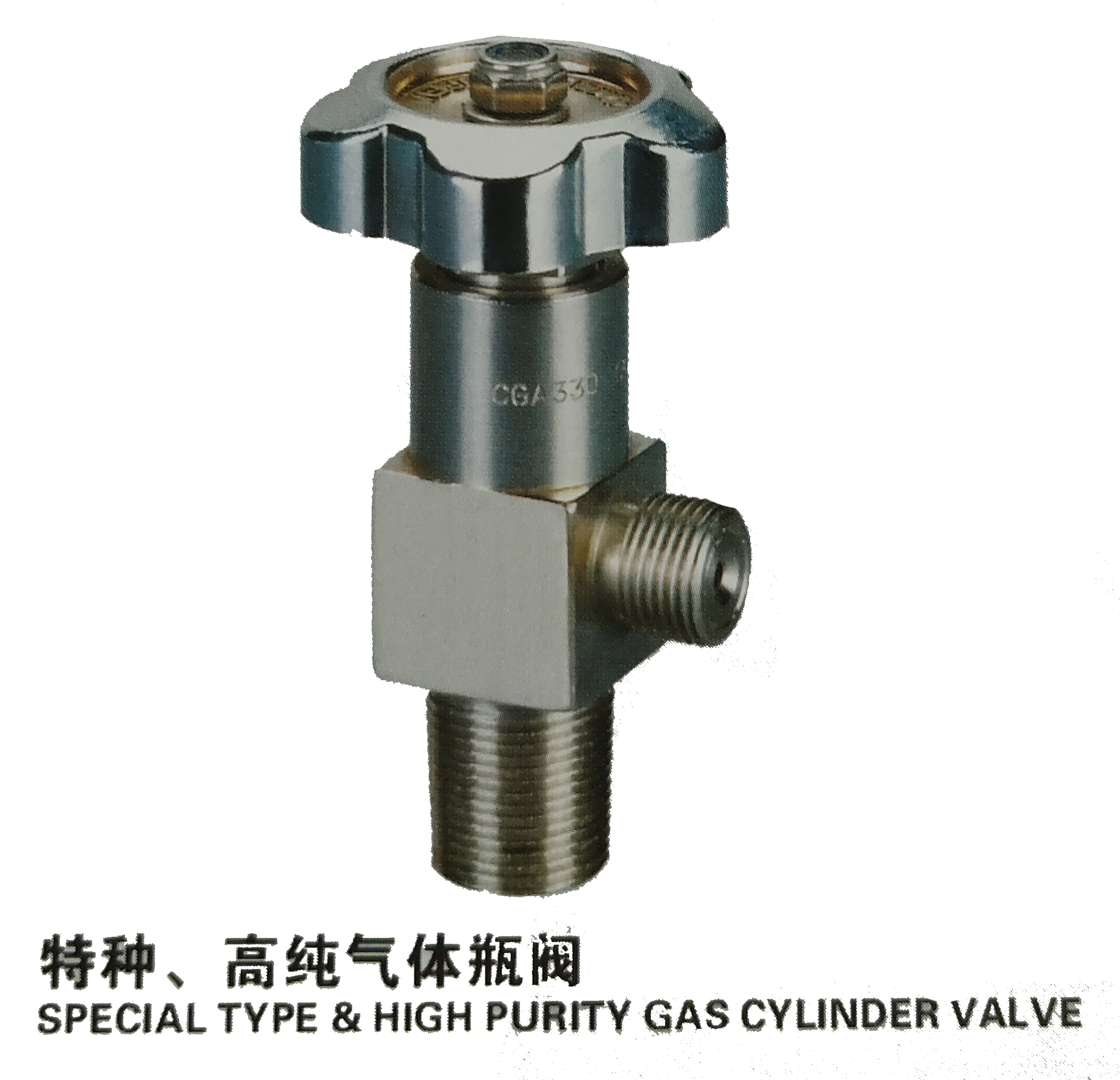 特种、高纯气体瓶阀