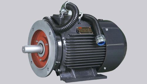 Permanent Magnet Motor Shanghai Electric Machinery Group