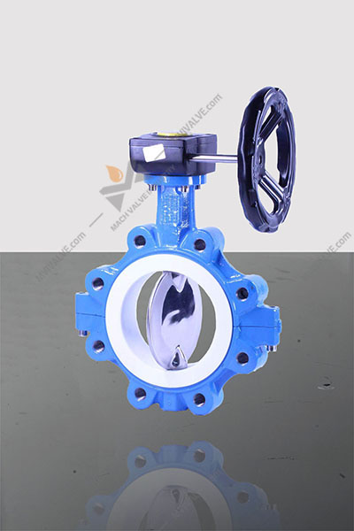 Lug Type Butterfly Valve Mvi Specialized In Corrosion And Wear Resistant Applications Solution 6266