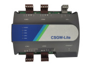 CSGW-Lite棕4P