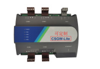 CSGW-Lite棕4P定制