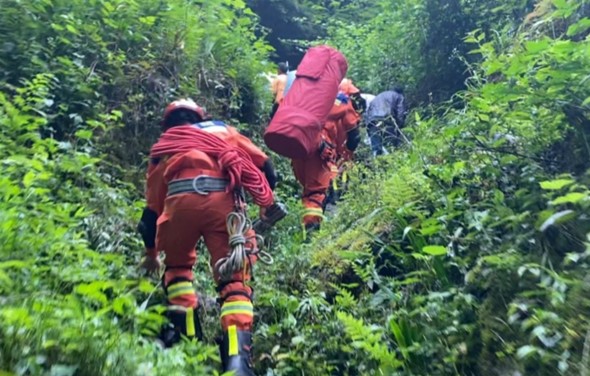 Search and Rescue in Forest
