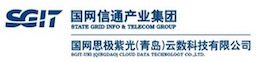 261 国网思极紫光（青岛）云数科技有限公司