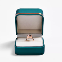 FANXIuniqueengagementringbox_proposalringinb-format_webp-1