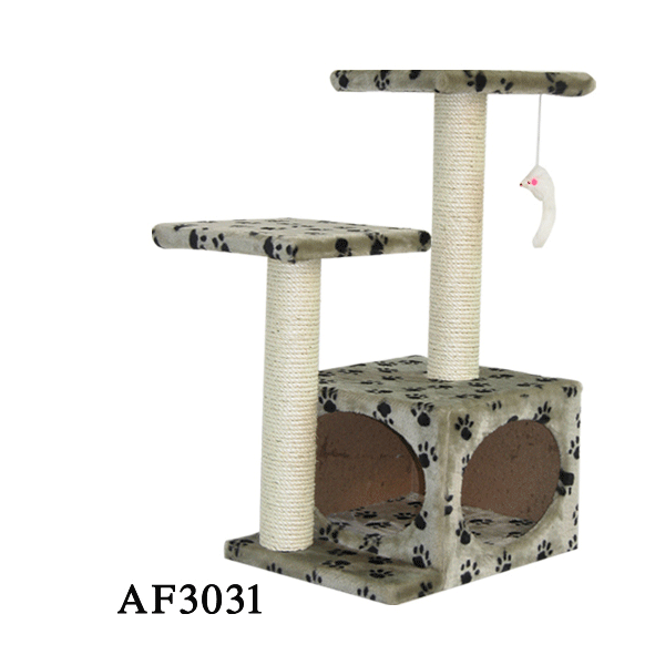 cats-4-AF3031