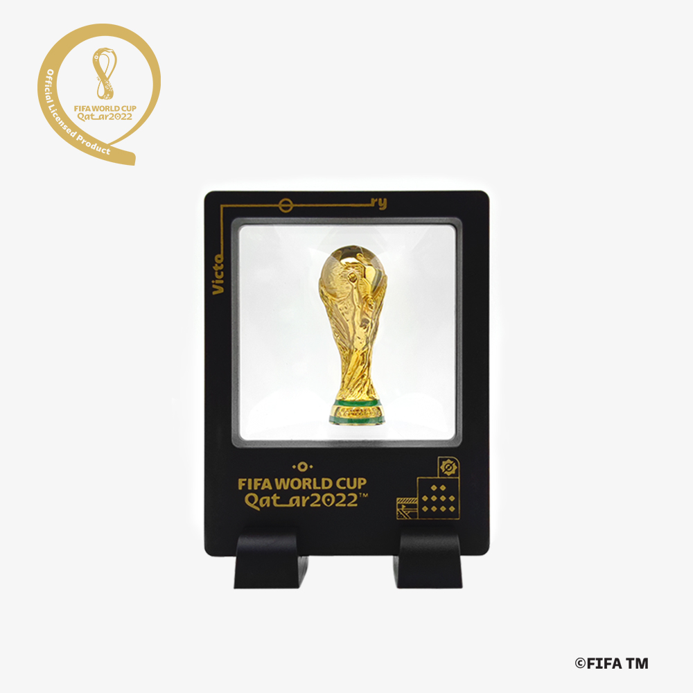 FIFA World Cup Qatar 2022 Trophy Replica in Display Case Official Licensed  Product)