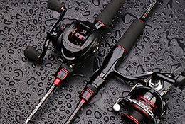 Fishing Rod & Reel