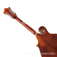 mandocello-3