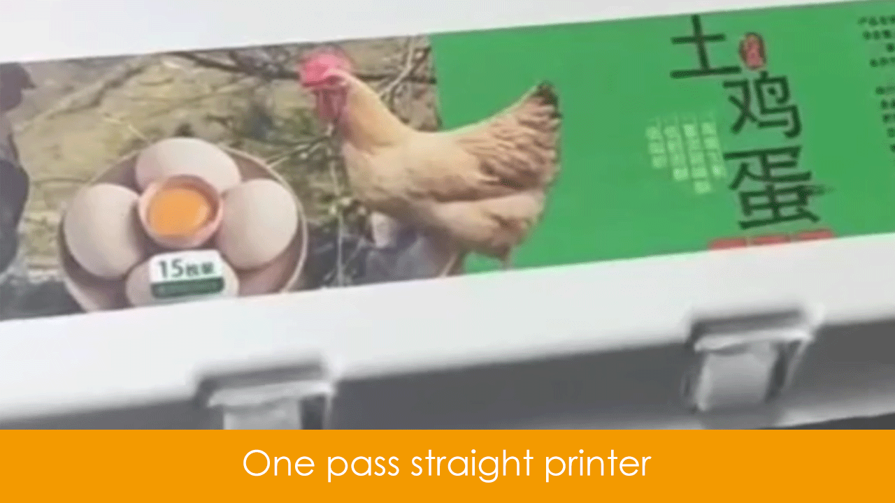 Egg carton packaging color uv printing