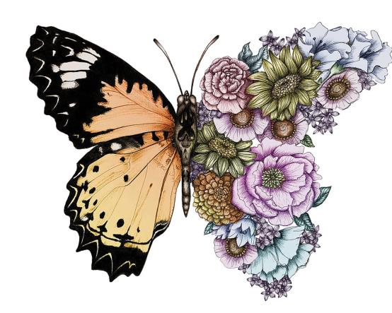 Butterfly+in+Bloom+Colour+PRINT