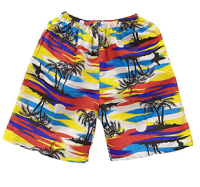 _0017_BEACHSHORTS-4