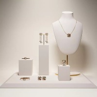 Luxurymetalframejewelrydisplaysetwithwhite_y-Luxurymetalframejewelrydisplaysetwithwhite_y-format_webp-1