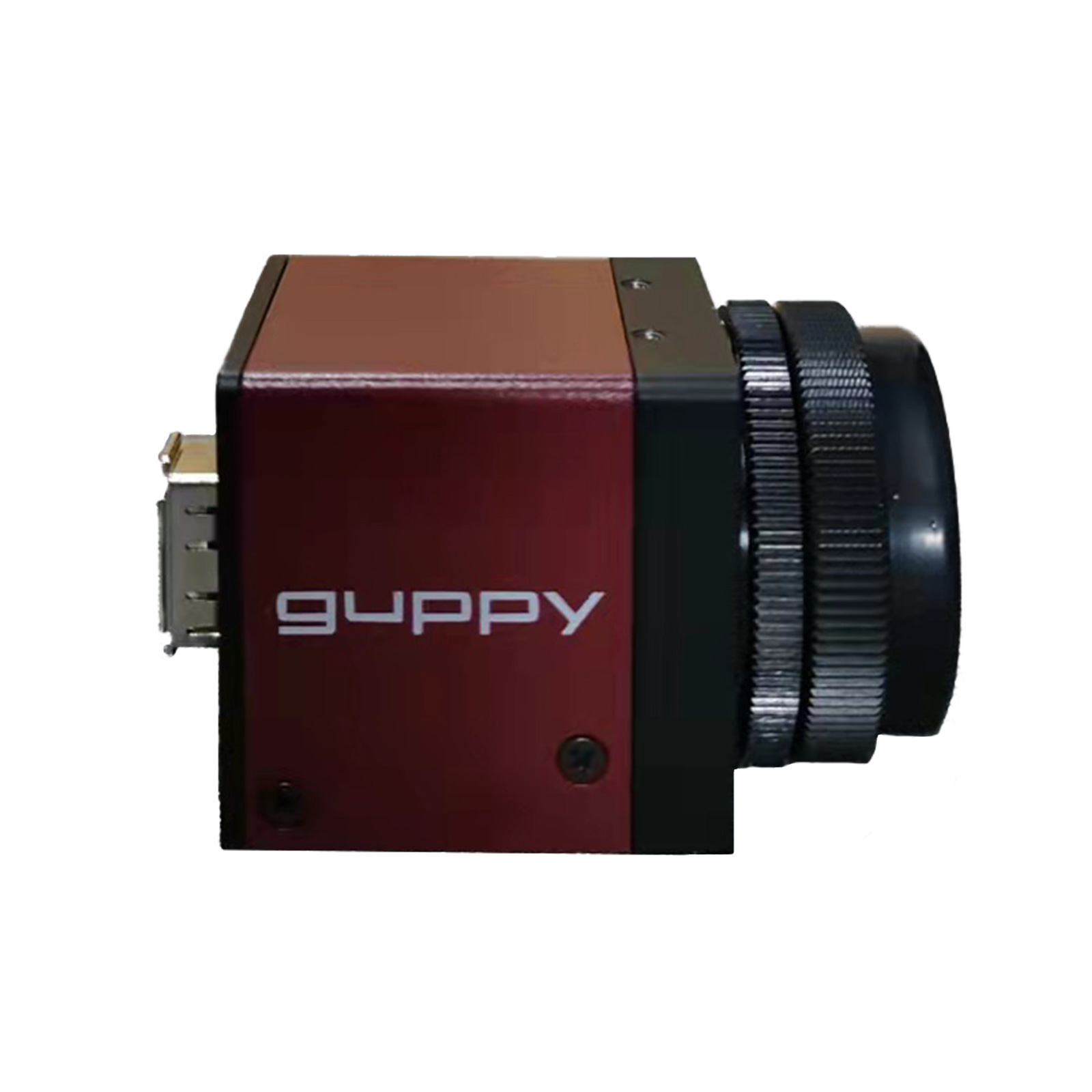 3-GuppyF-146C-2