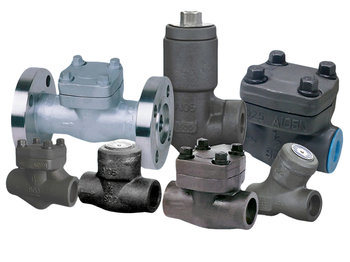 Forged Check Valve