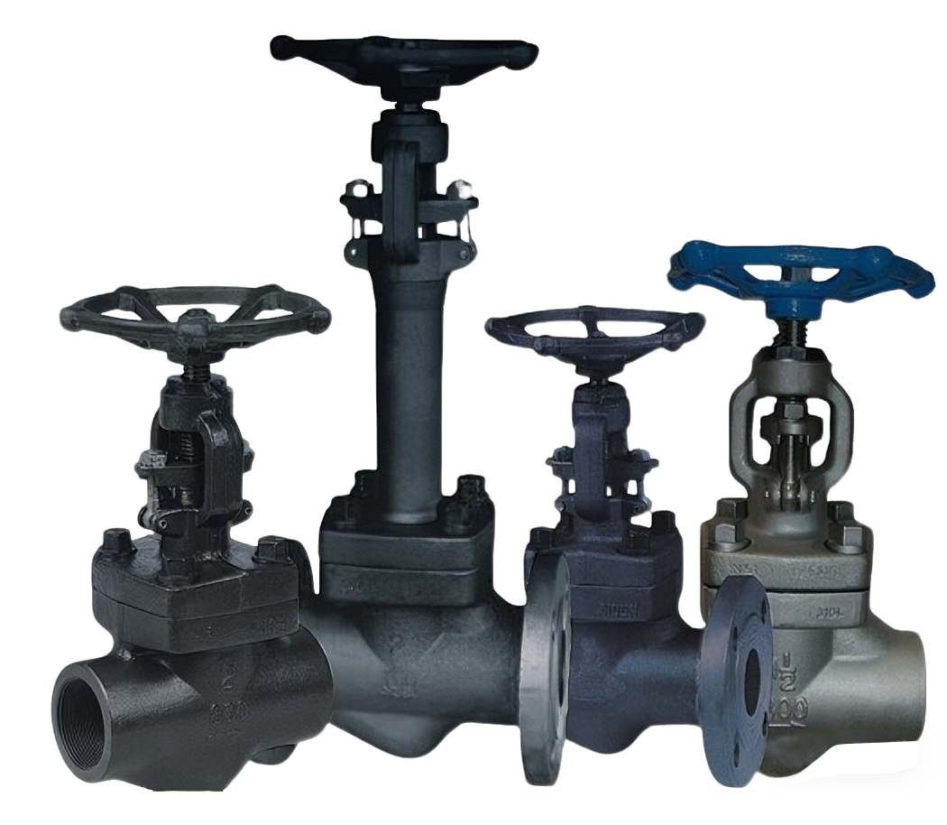 Forged Globe Valve