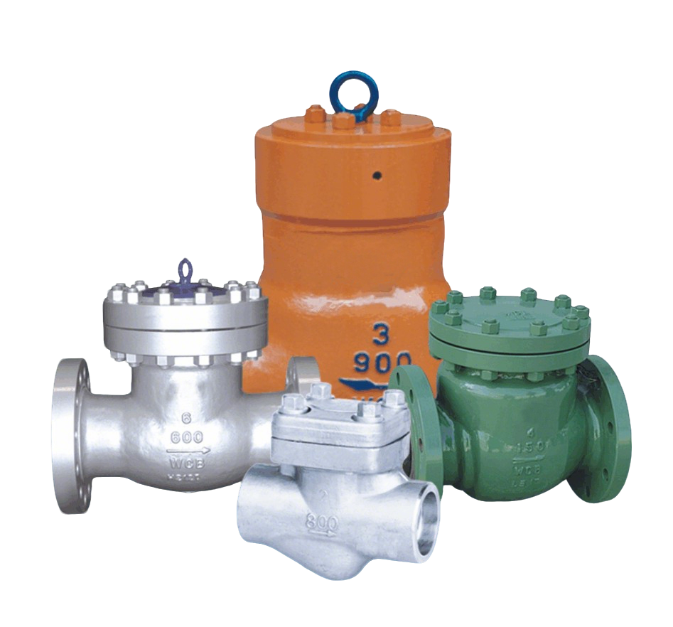 Disc Check Valve