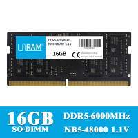 16GB6000