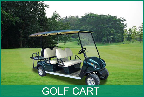 Lithium iron phosphate battery for golf cart