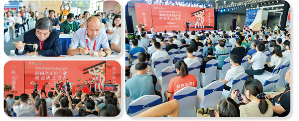 The Seventh China International Food And Catering Expo News