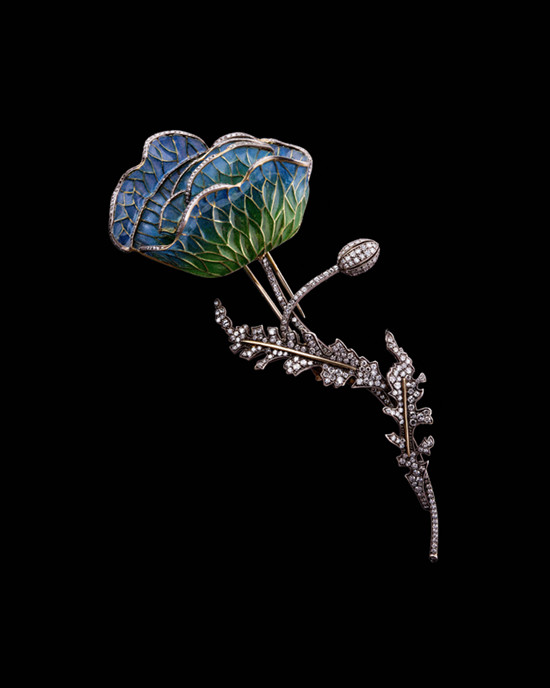 Moira鸢尾花胸针.jpg