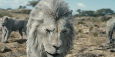 狮子王木法沙传奇3