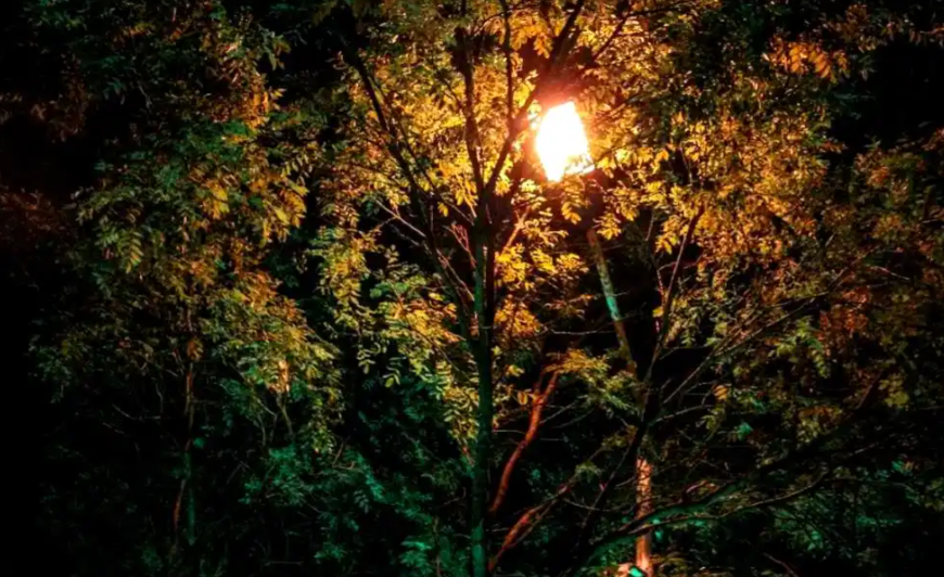 夜间