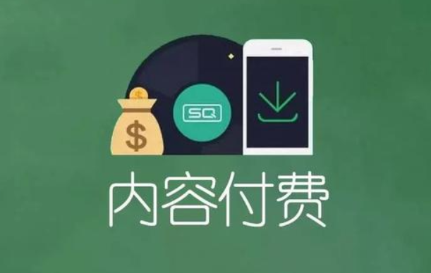 付费