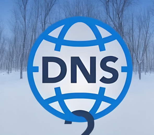 DNS
