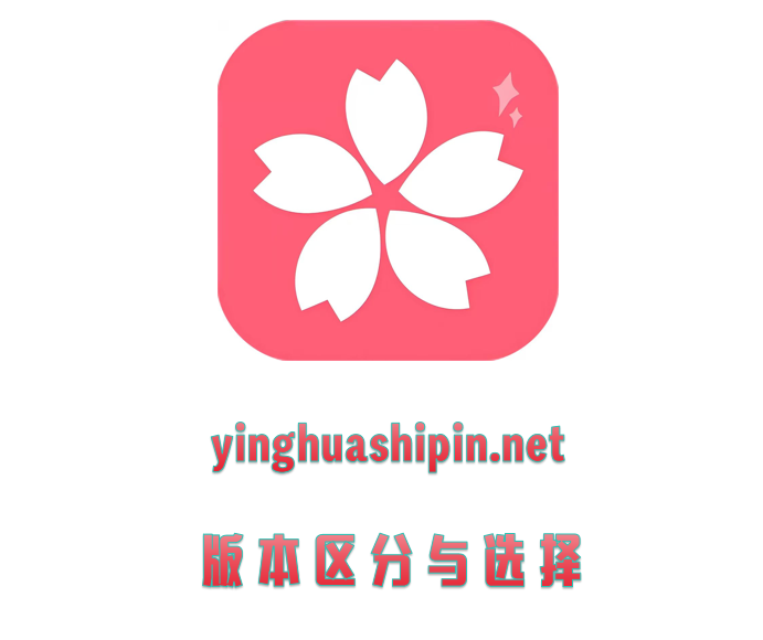 版本区分与选择