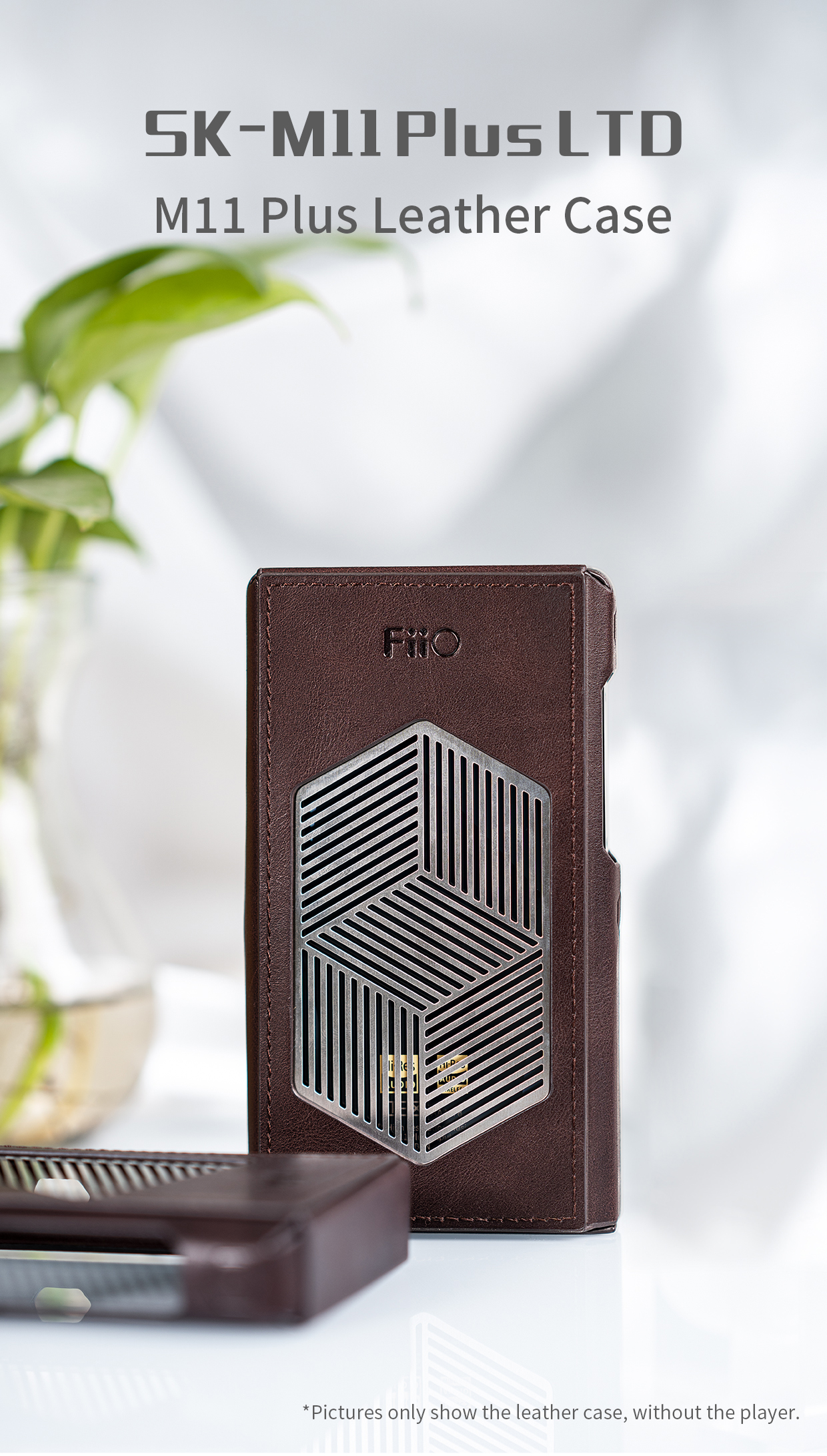 fiio m11s ＆Leather case-