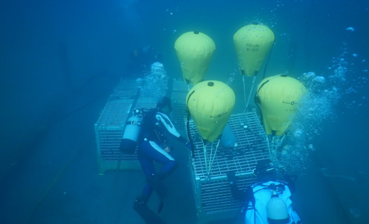 Underwater Air Lift Bags