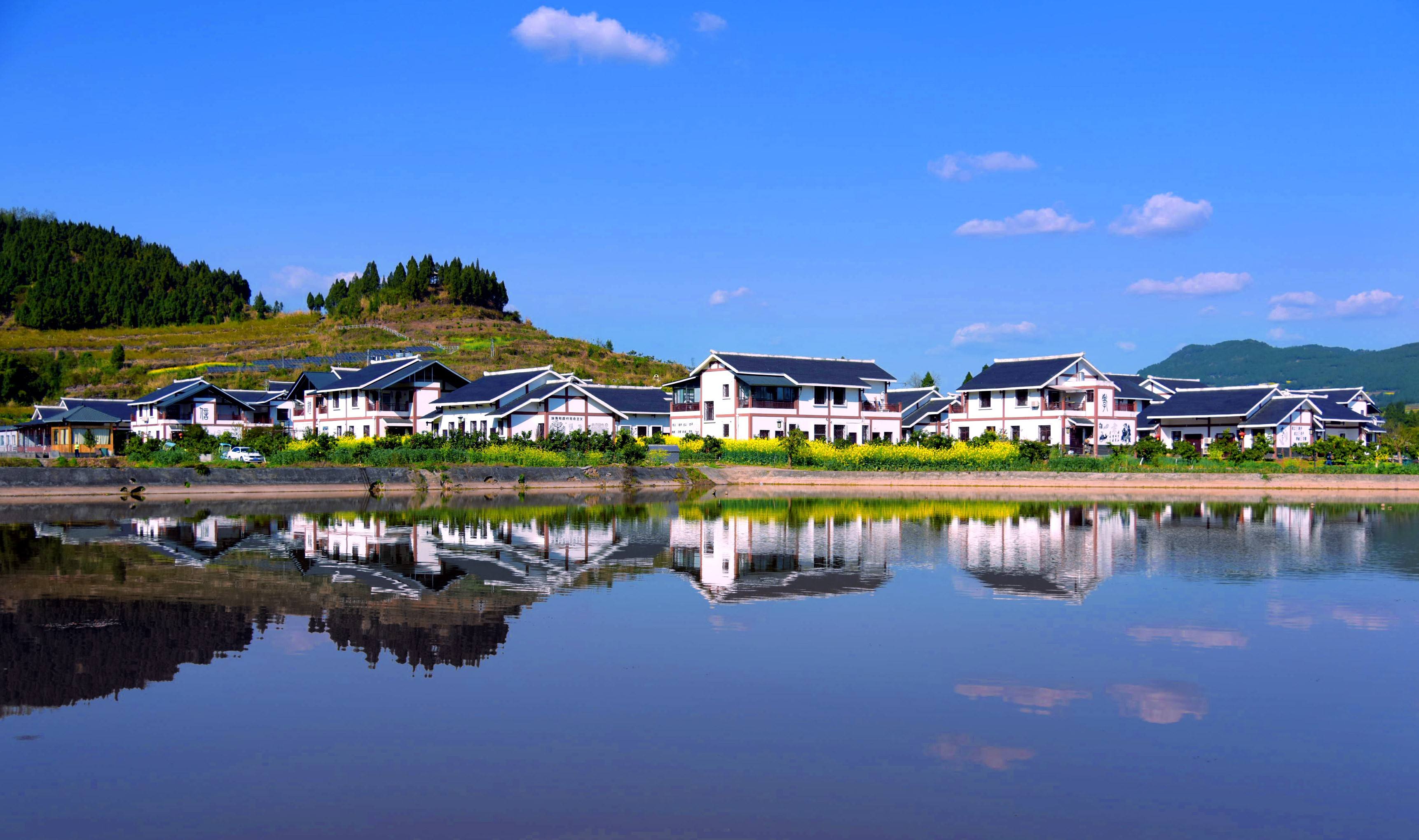 国内外美丽乡村案例