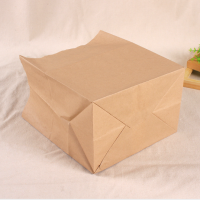 RecycledPrintedPaperPackagingShoppingBagKraftPaperBag-3