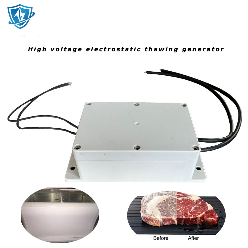 High voltage electrostatic power supply for meat preservation