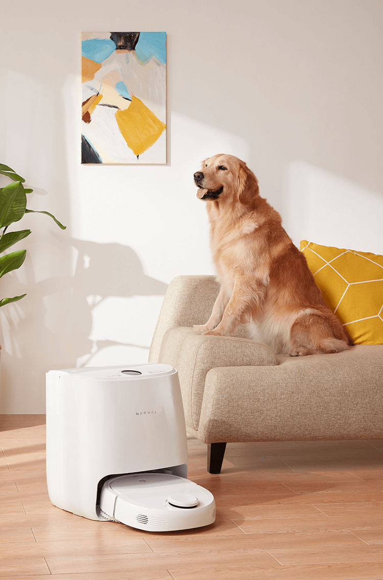 Narwal  Robot Mop & Vacuum for Pet Owners: Hands-Free Cleaning at Its  Best-Puffuny