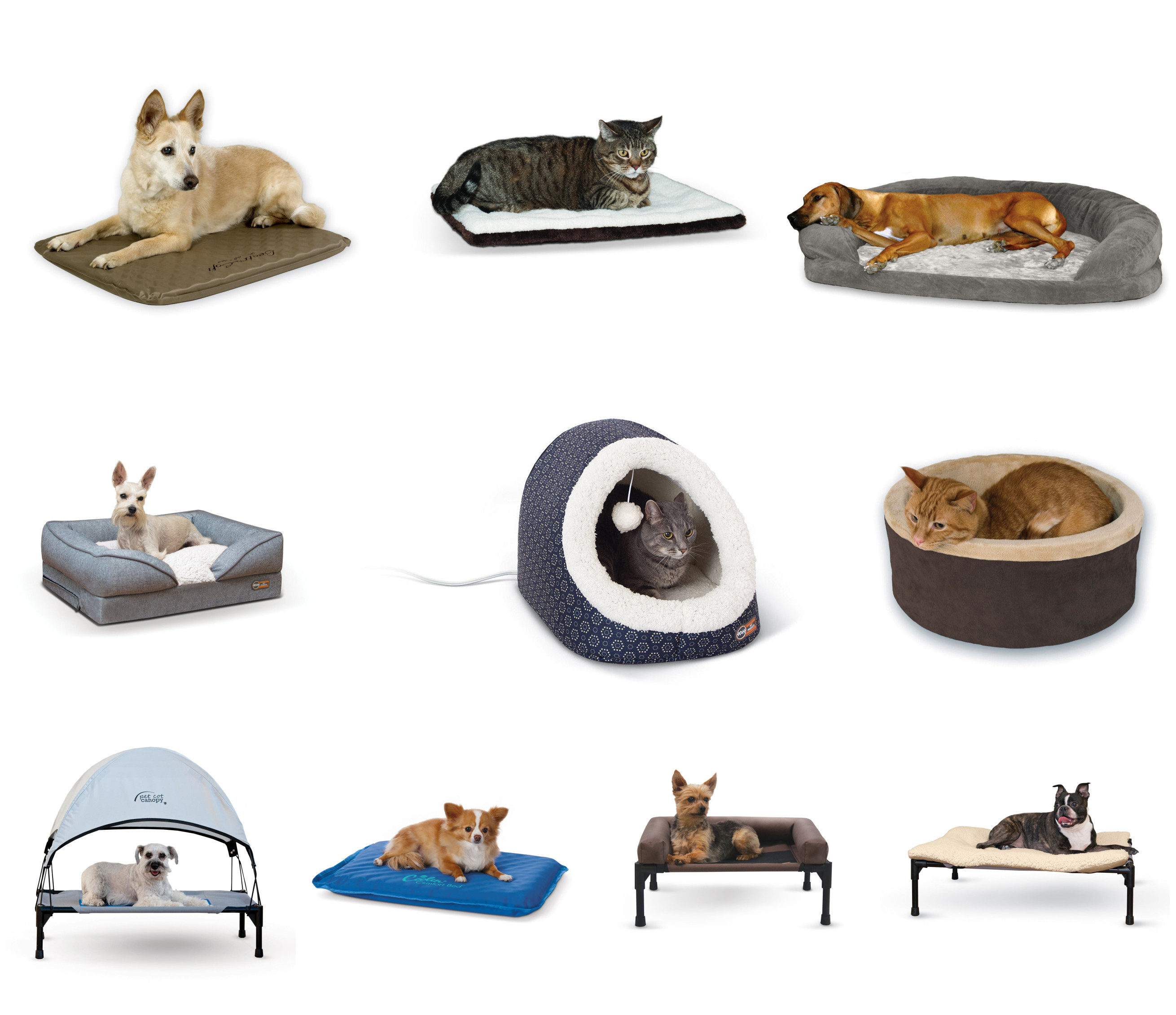 Get Your Paws on the Best Dog Beds for Dreamy Zzz's!Puffuny