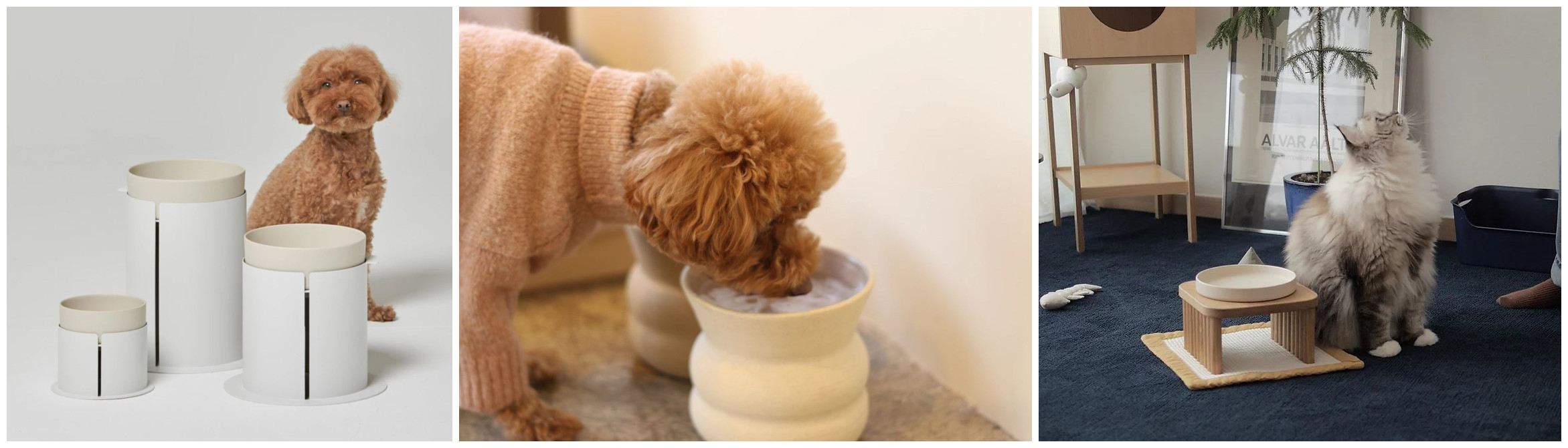 Bad MarlonKorean Dog HousePuffuny