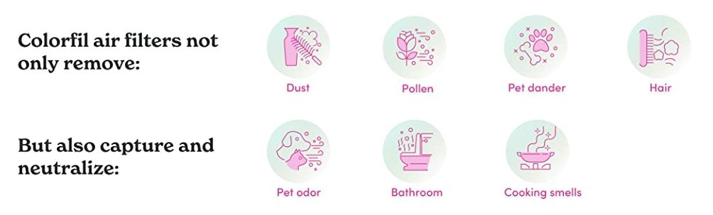 Colorfil | Goodbye, Pet Odors!-Puffuny