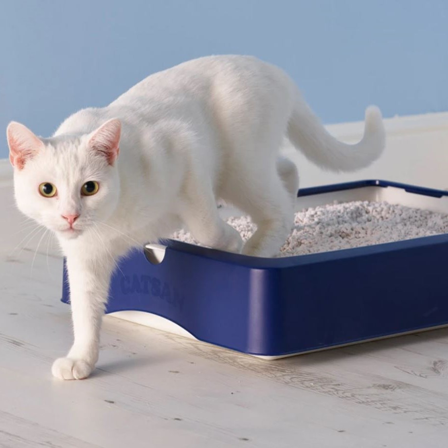 Catsan Making Your Cat Go "Meow" with Joy and Cleanliness!Puffuny