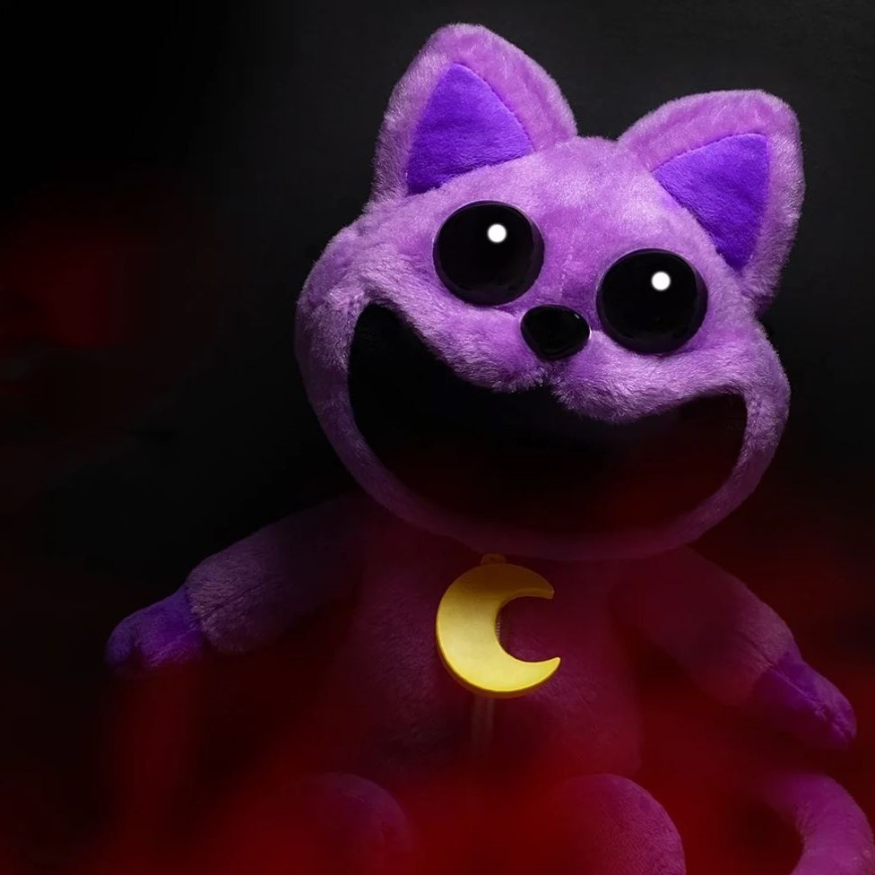 DurAnimals The HeavyDuty Solution for Your Cat's Litter BoxPuffuny