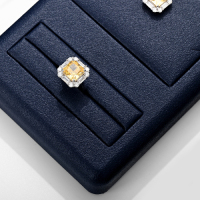 TT237-FANXIjewelryholderstand_jewelryorganizerstand_jewelry_yythkg