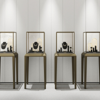 TT211-FANXIjewelrystoredisplay_standingjewelryorganizer_jewelry_yy-1