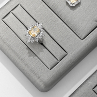 TT240-FANXIluxuriousjewelrydisplay_jewelrydisplaystandset_-5