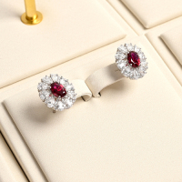 TT02101221209022-FANXInewarrivaljewelrydisplayset-2