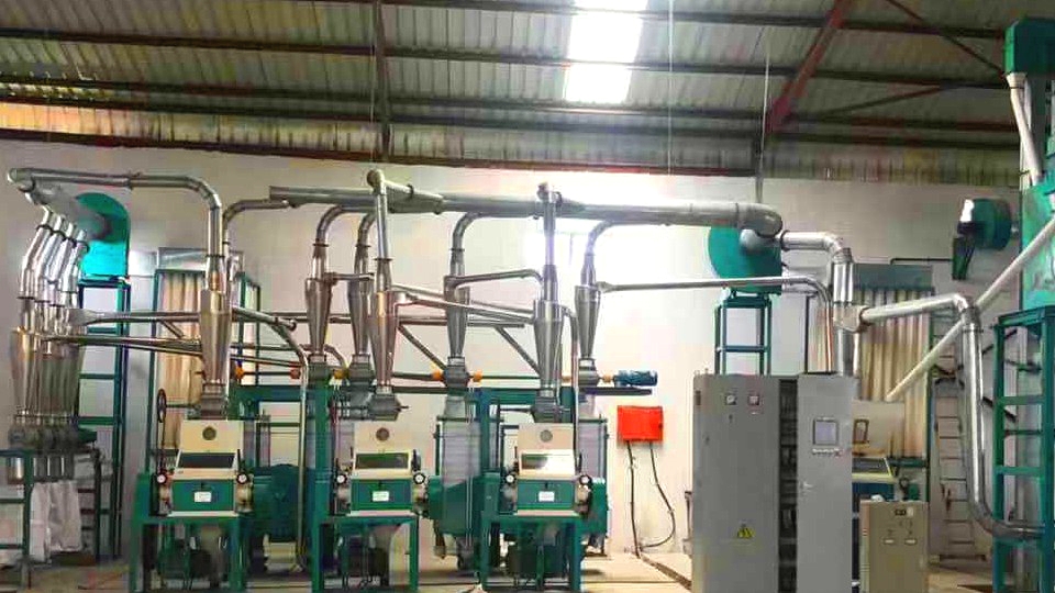 30t maize flour mill machine